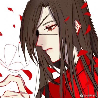 伊朗开放霍尔木兹特朗普发帖说谢谢